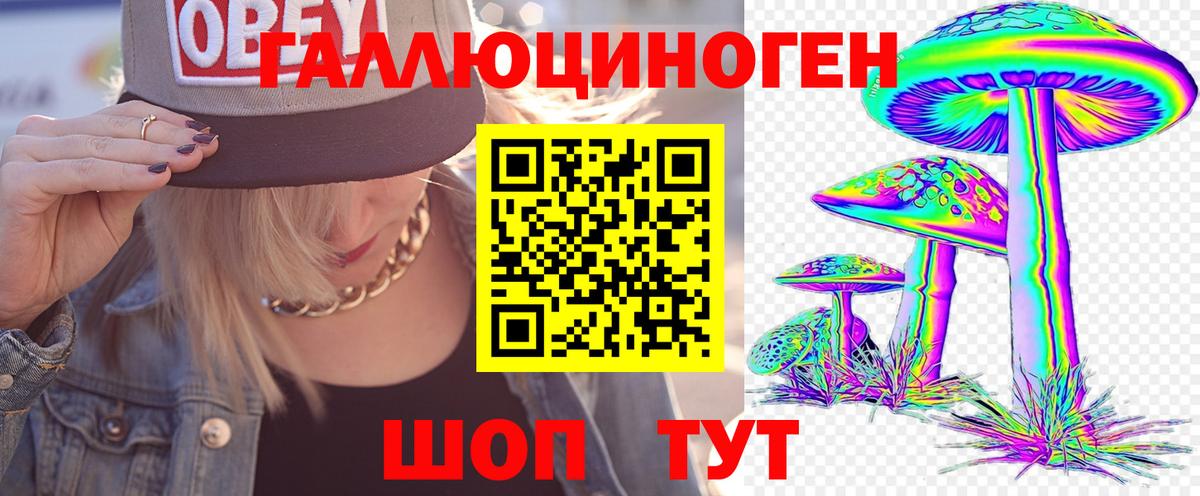 Галлюциногенные грибы MAGIC MUSHROOMS  Вход с VPN  Магнитогорск  купить наркоту  Псилоцибиновые грибы Psilocybe 