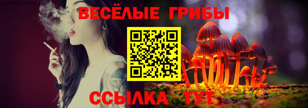 Галлюциногенные грибы MAGIC MUSHROOMS Магнитогорск